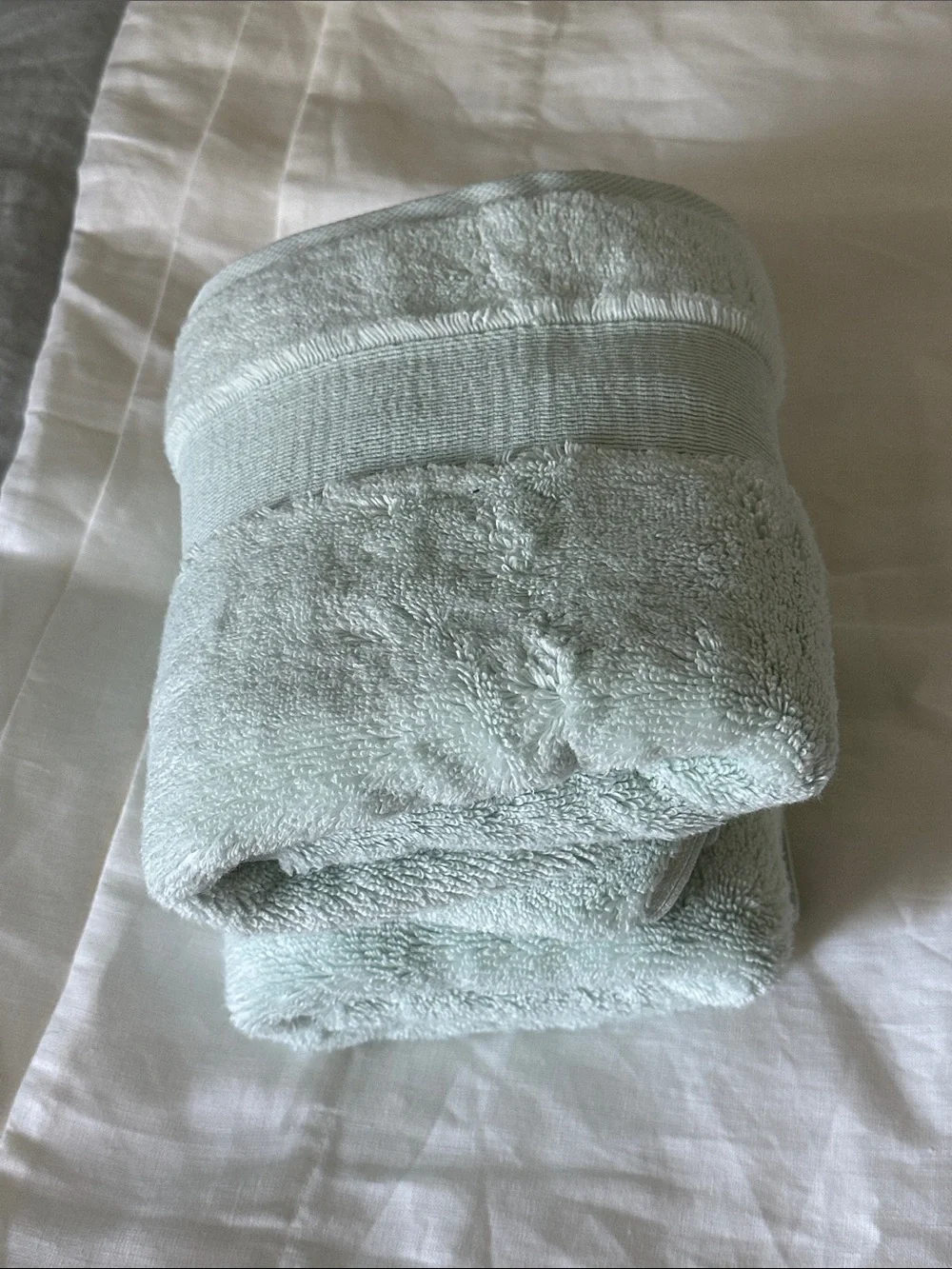 Quince Light Mint Hand Towels - Soft Plush Set